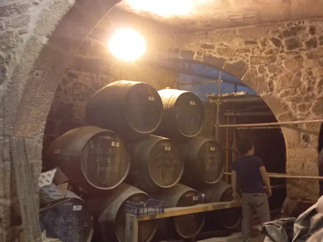 Museu do Cálem — Vila Nova de Gaia (2024), fotografia 6