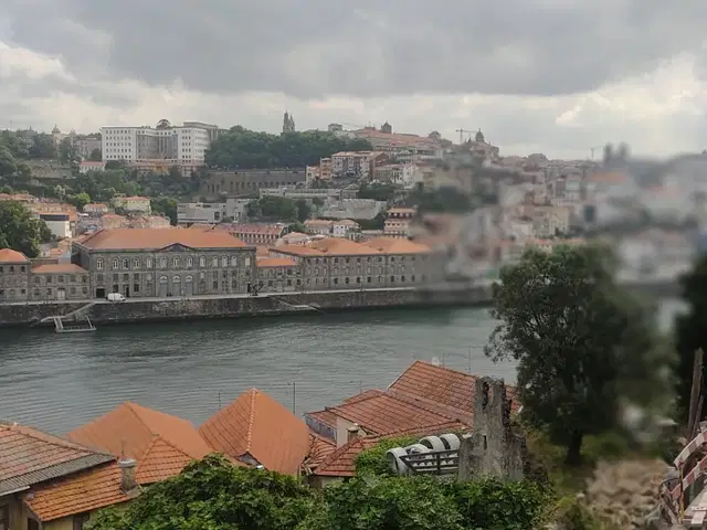 Quinta de São Marcos — Vila Nova de Gaia (2023), fotografia 9